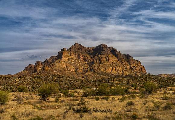 Mineral Mountain