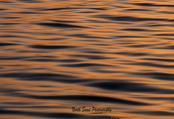 Liquid Desert