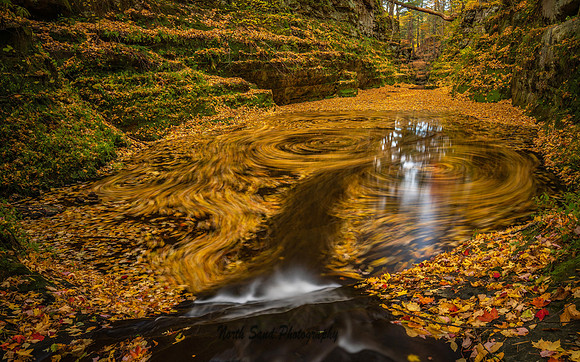 Autumn Swirl