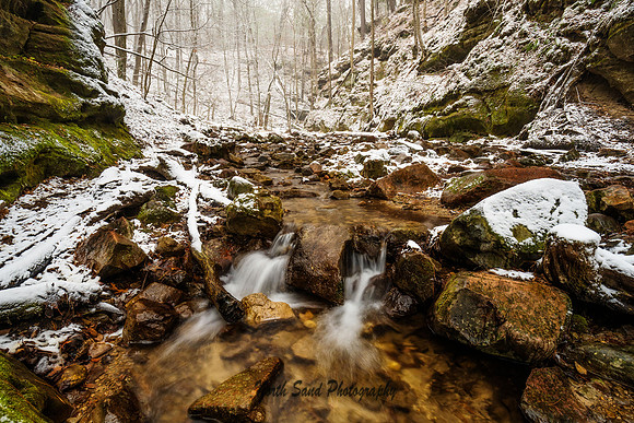 Winter Wonderland II