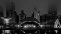 Chicago Bean/Raindrops BW