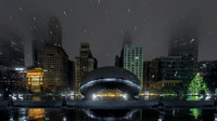 Chicago Bean/Raindrops