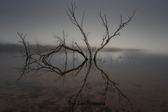 Fish Lake B