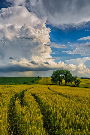 Storm over Farmlands