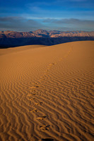 Mesquite Flats Dunes 2 2026