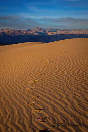 Mesquite Flats Dunes 2 2026