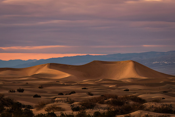 Mesquite Flats Dunes 4
