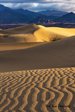 Mesquite Flats Dunes 5