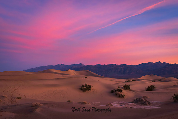 Mesquite Flats Dunes 1 2026