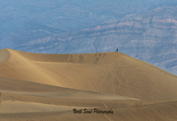 Mesquite Dunes Photographer