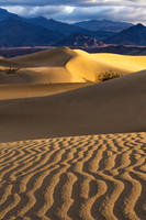 Mesquite Flats Dunes 5