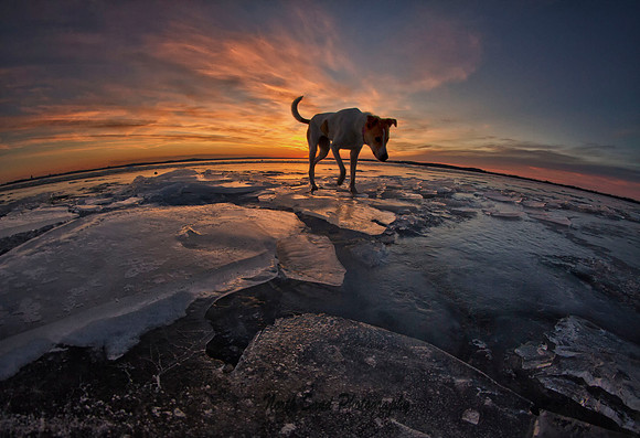 Icy Crossing