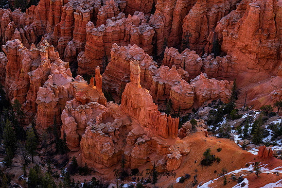 Bryce Canyon 1