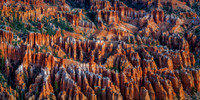 Bryce Canyon Hoodoos