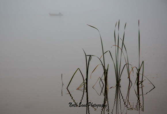 Trolling in the Mist