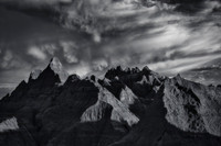 Morning Light I