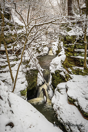 Pewits Winter