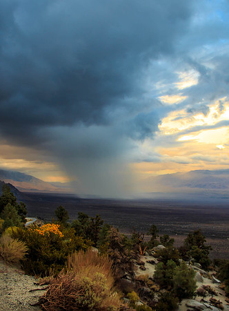 Desert Storm