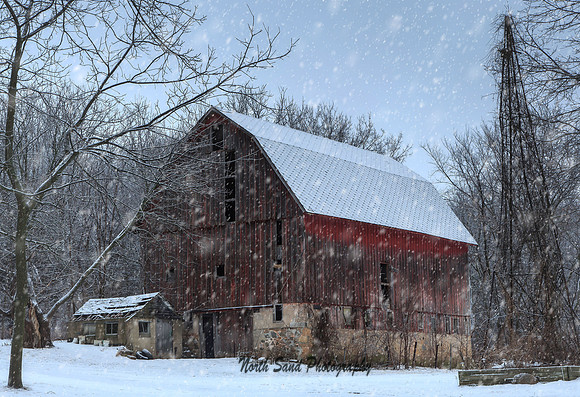 Snowy Day
