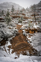 Winter in Zion