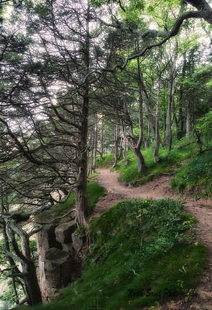 Gibralter path 1