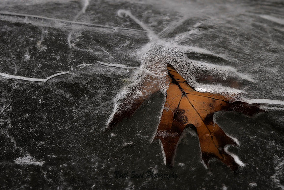 Spring Thaw