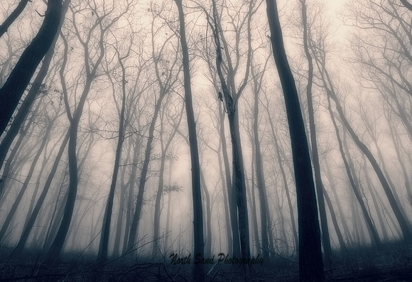 Into the Mystic