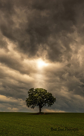 Heavenly light
