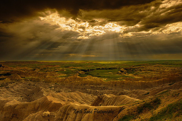 Sage Creek Basin