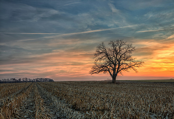 Post Harvest Sunset