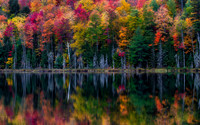 Fall Reflection
