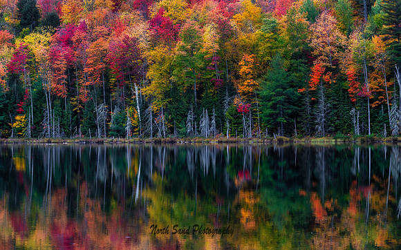 Fall Reflection