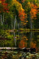 Red Jack Lake