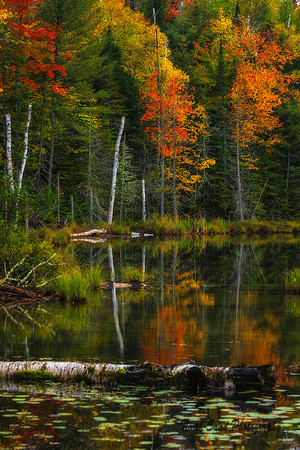 Red Jack Lake