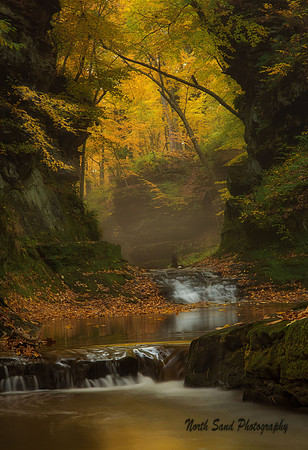 Mystic Morning