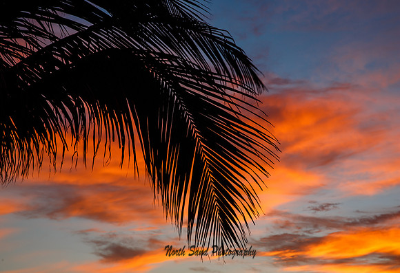 Jamaica Sunset