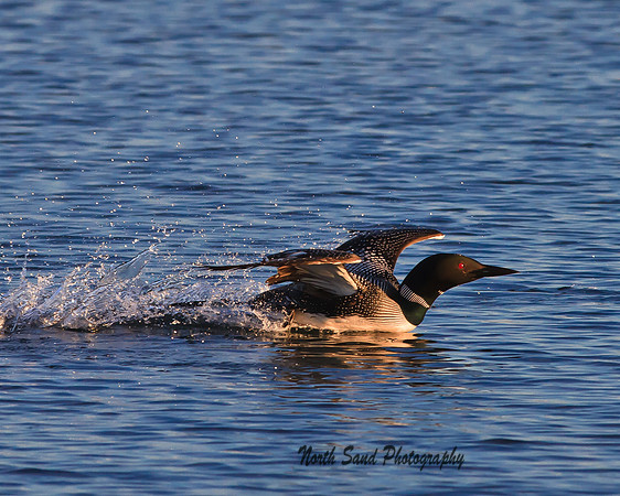 Landing