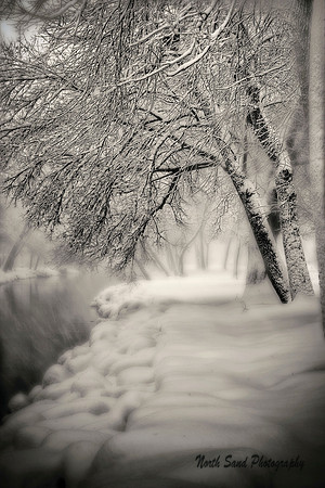 Winter Glow