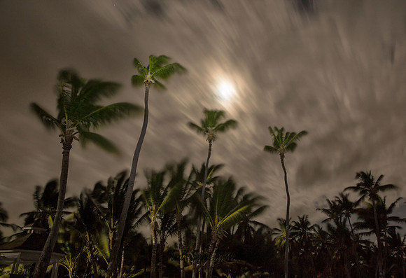 Night Winds