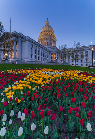 Capitol Flowers II