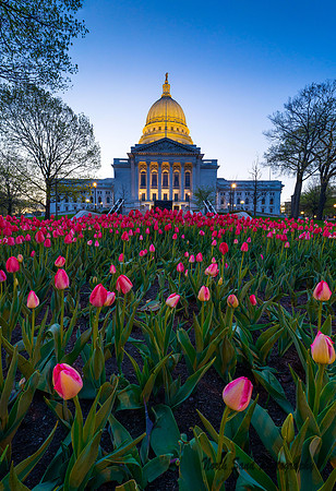 Capitol Flowers I