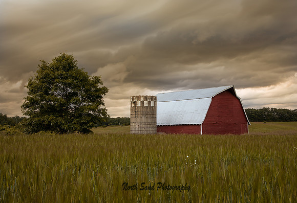 Into The Heartland