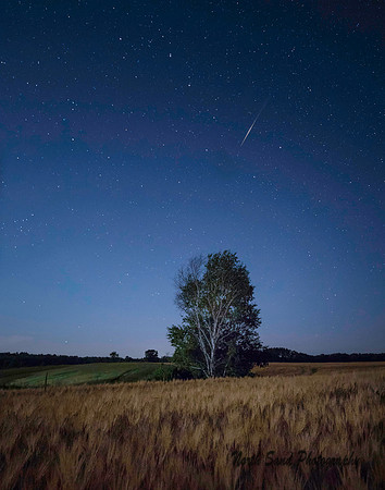 Shooting Star