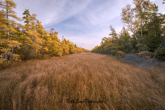 The Ridges