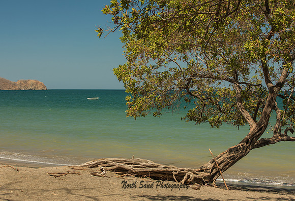 Matapalo Beach