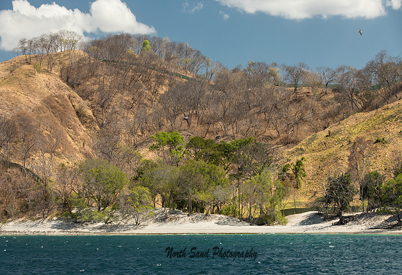 Pacific Coastline