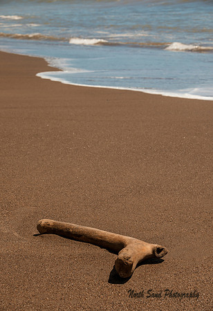 Nicoya Peninsula 2