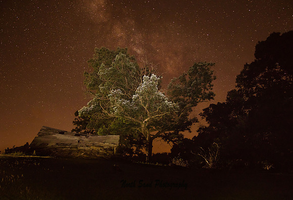 Night Glow