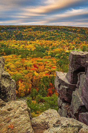 Devil's Autumn II