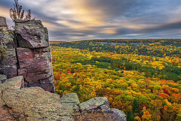 Devil's Autumn I